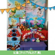 tinkerbell-elfjes-feest-kidzpartykist